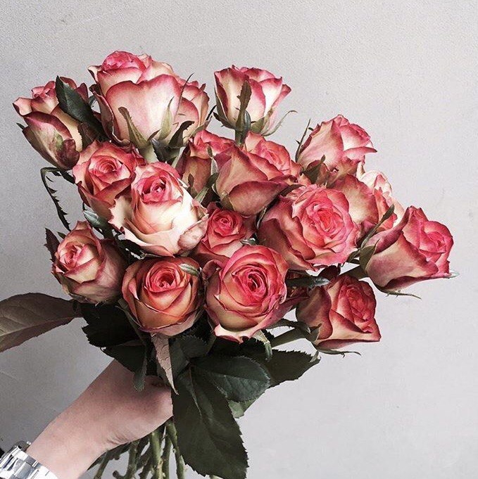Roses bouquet