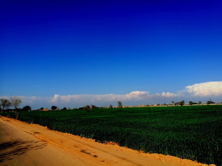 Pakistan