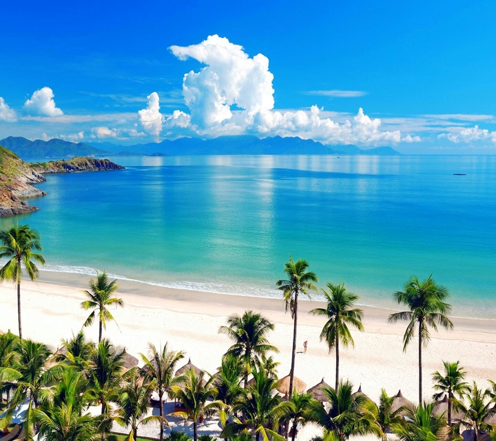 Tropical Beach