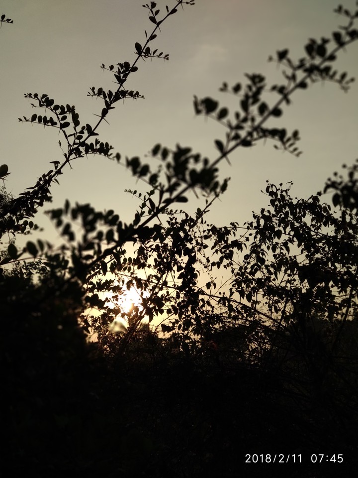 Sunrise