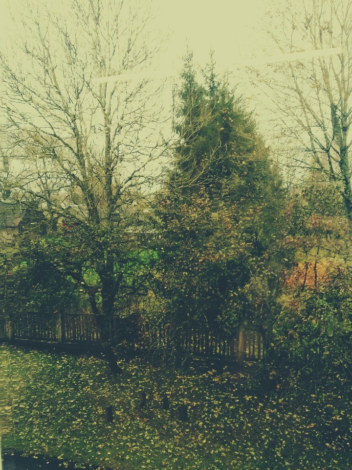 autumn