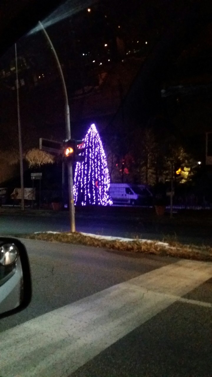 Luci d'albero.