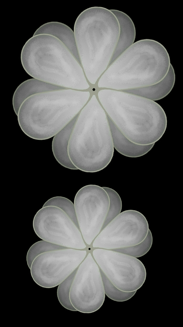 Artistic flowers 254