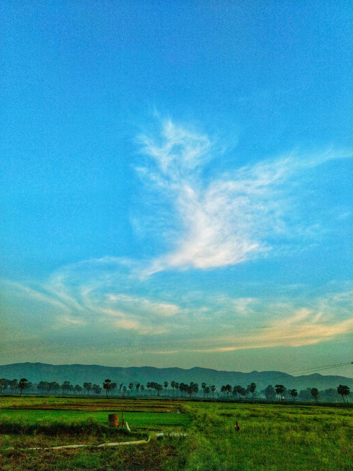 natural beauty