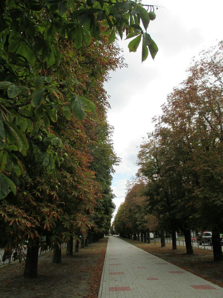 autumn