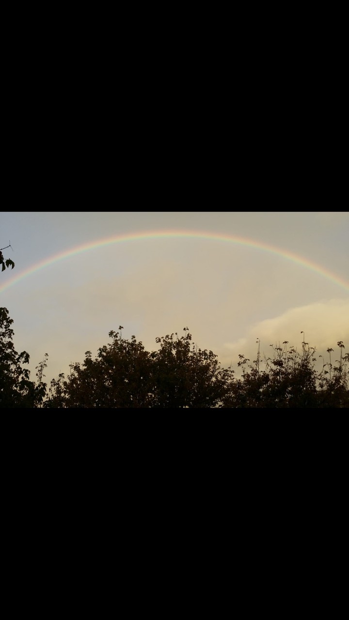 rainbow
