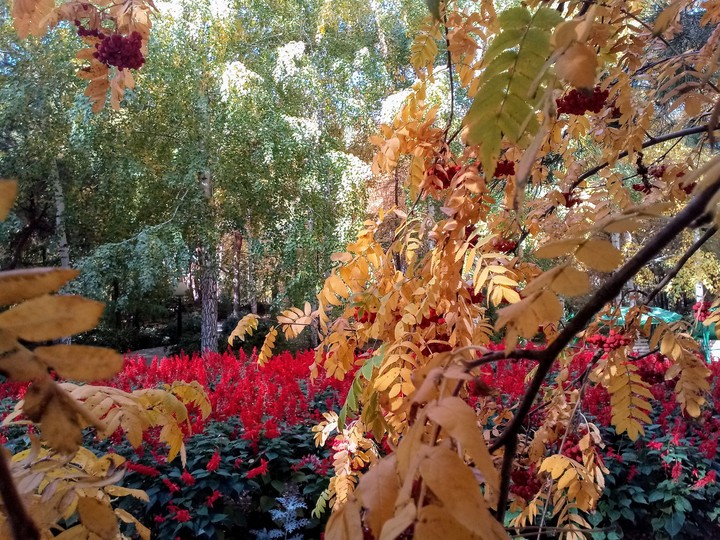 осенняя живопись..