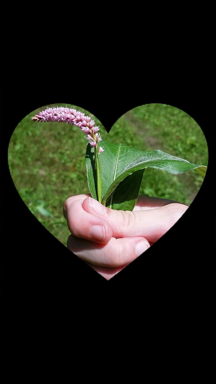 For You