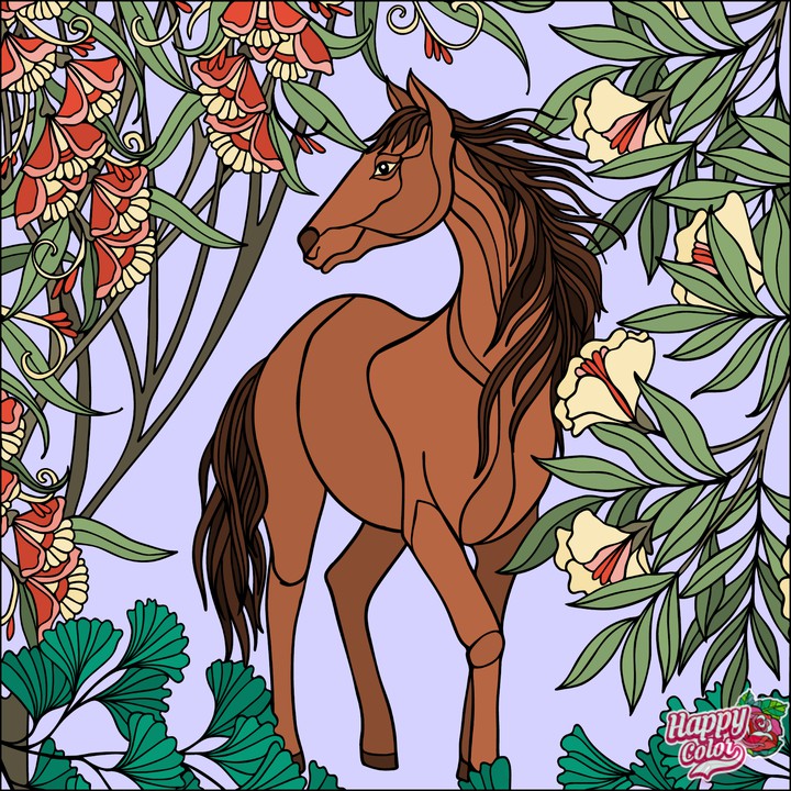 Cavalo