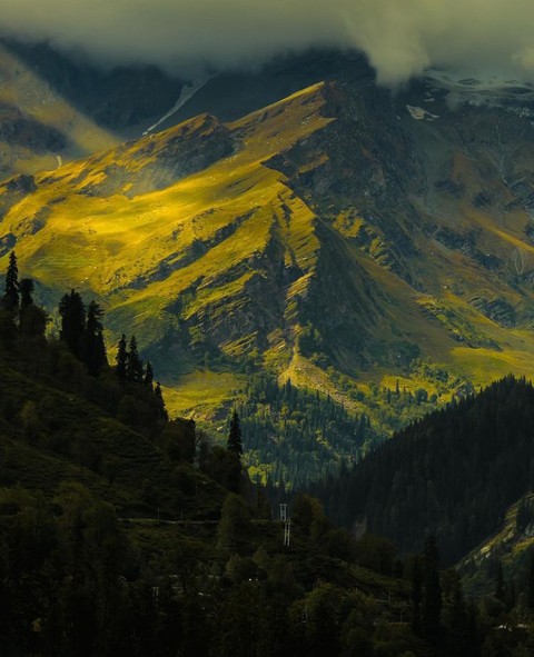 green
