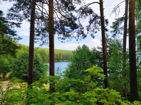 רקעים lake, larch