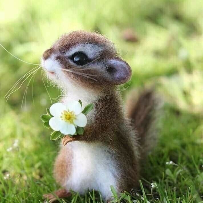 ,