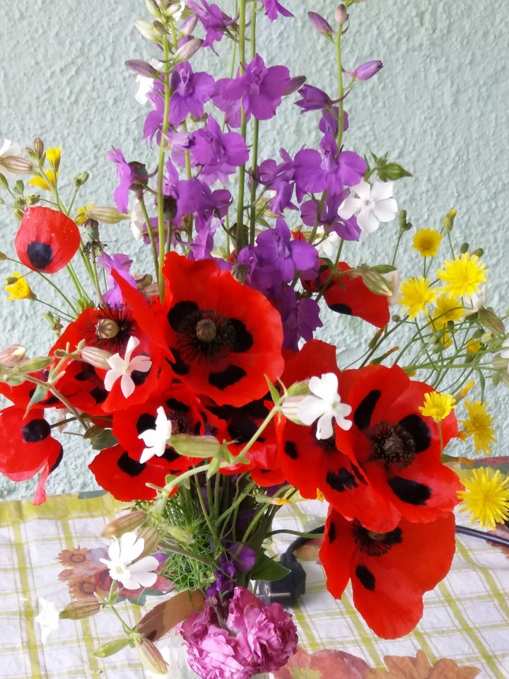 flowers