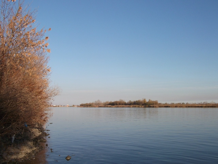 Дон