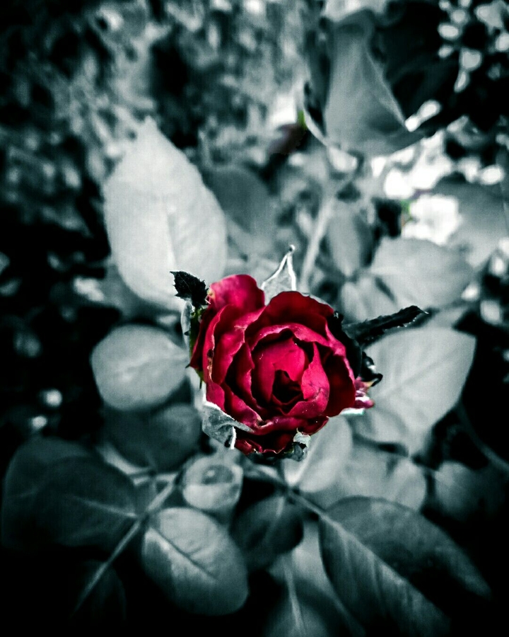 contrast!!!!