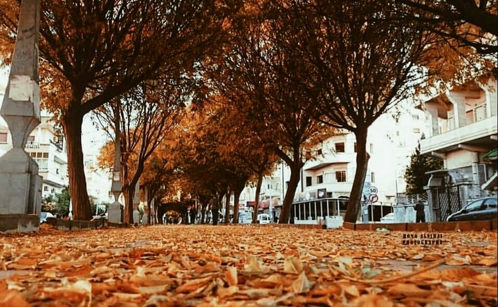 September 