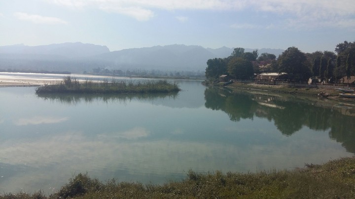 Near the lake