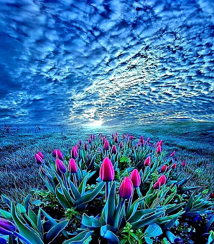 ⚘