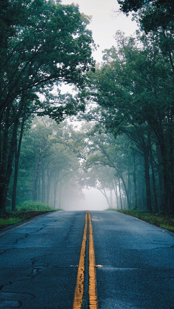 fonds d'écran road, fog