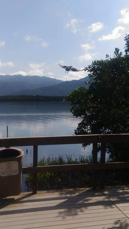 Se você vier comigo te mostro ...é simples ser feliz
