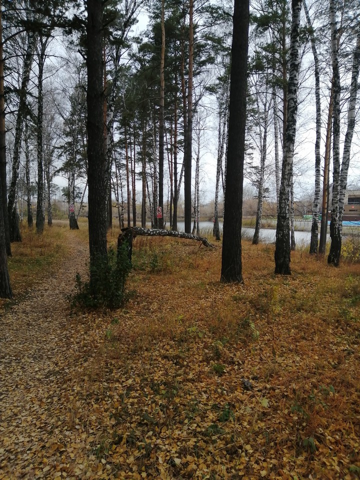 Осень.