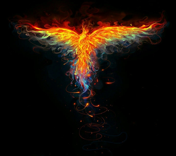 firebird