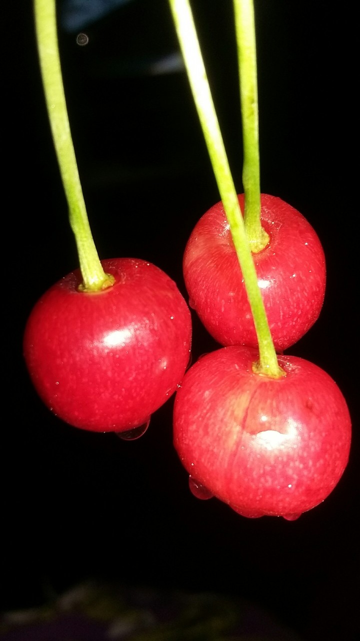 cherry