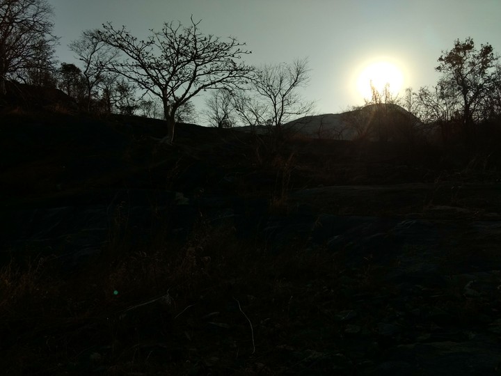 dawn