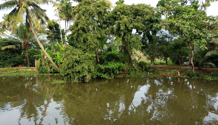 kerala riverside