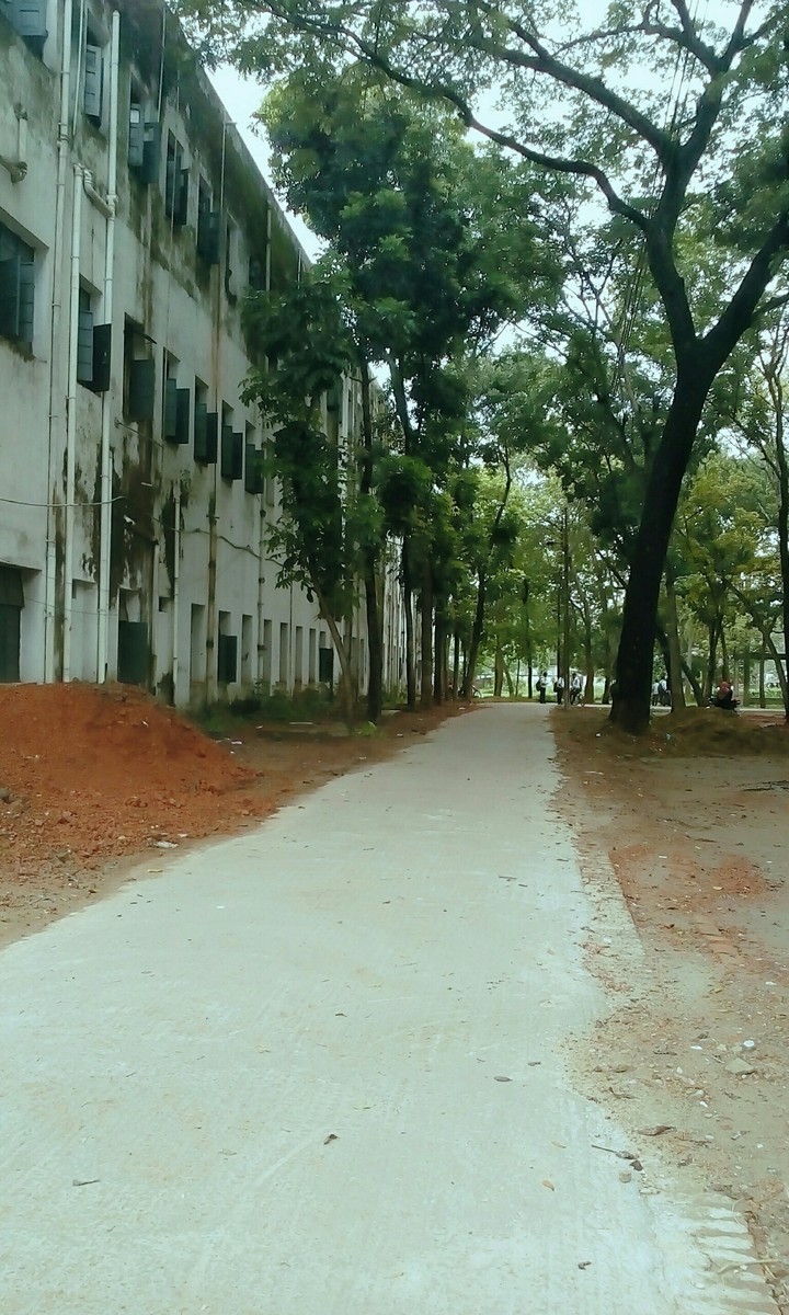 Greenery