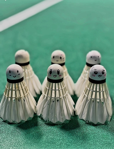 fondos de pantalla Badminton, Shuttlecock