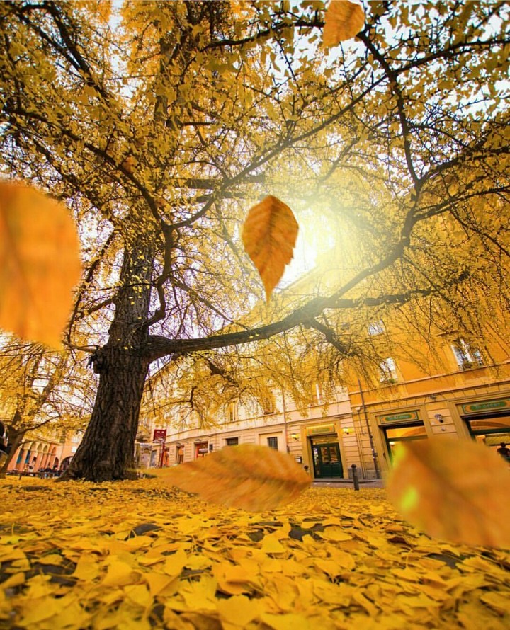 Autumn ,autumn...........