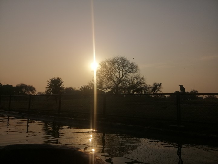 sunset