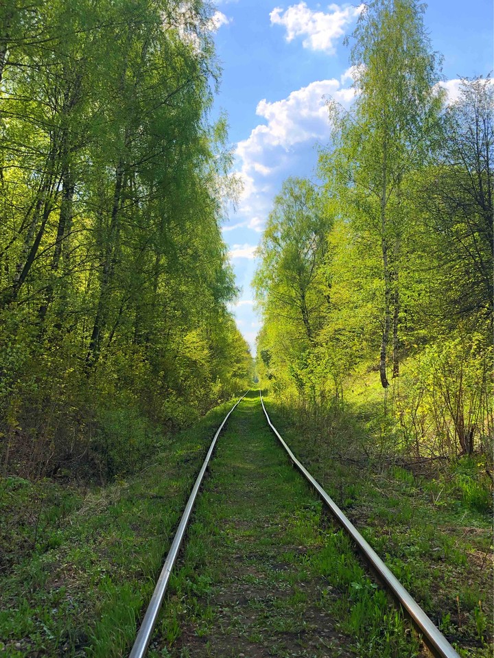 Дальняя дорога