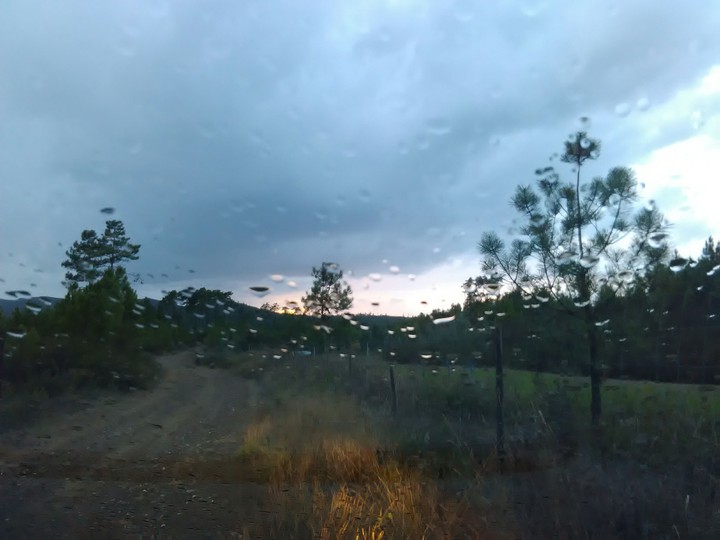 Rain drops