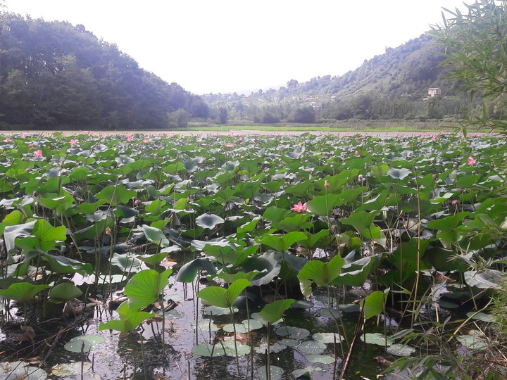 Soostan Lagoon