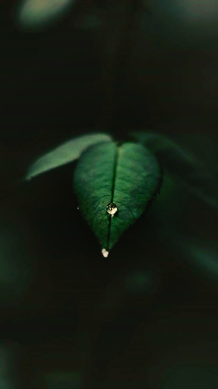 drop...