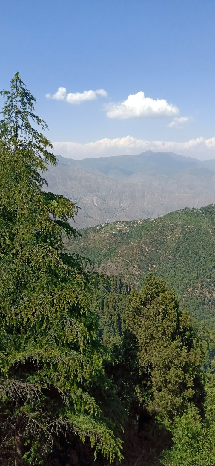 Beauty of Himalaya.., India