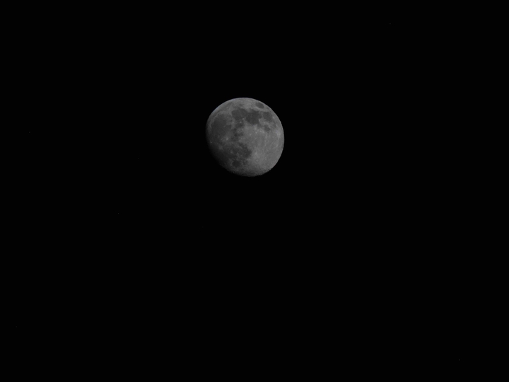 Moon