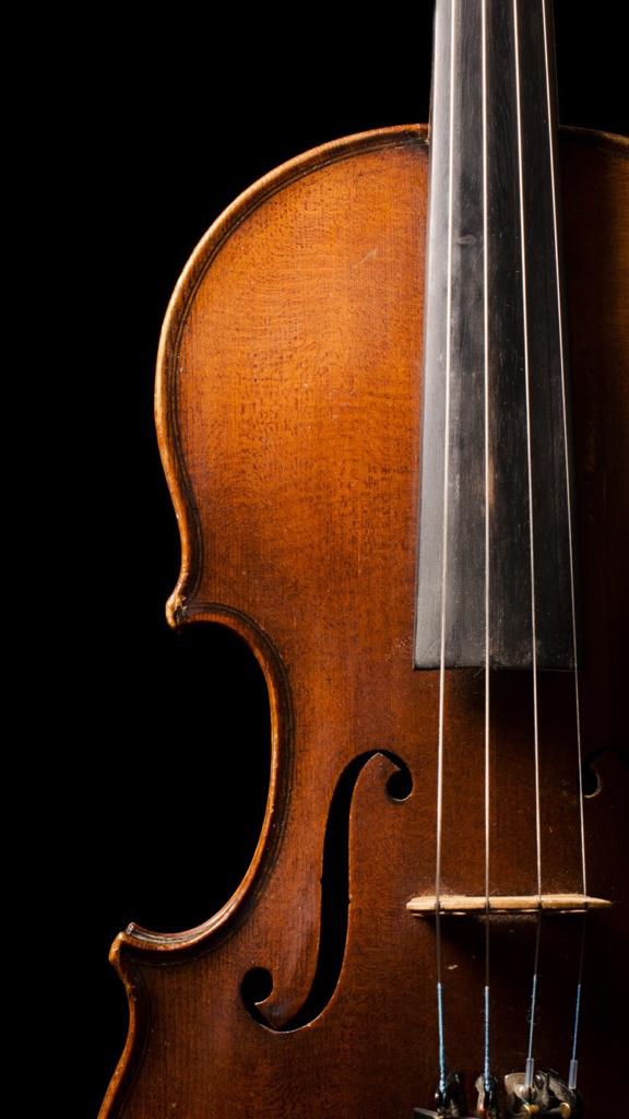 Violin