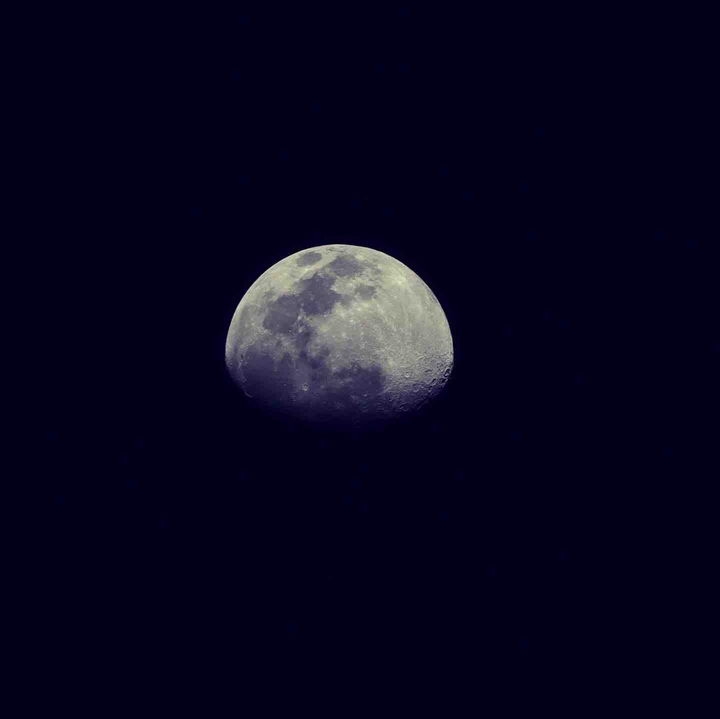moonlight