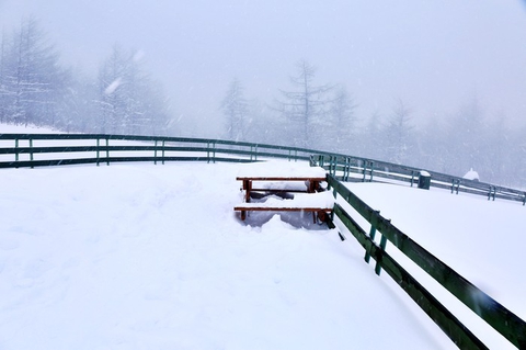 Snowy pasture