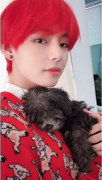 뷔