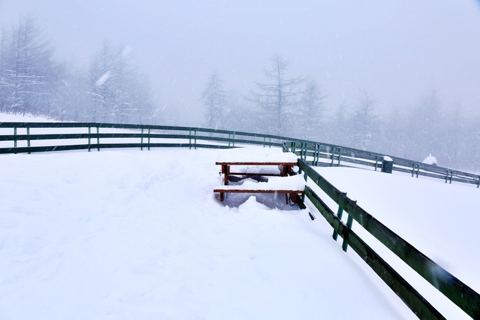 Snowy pasture