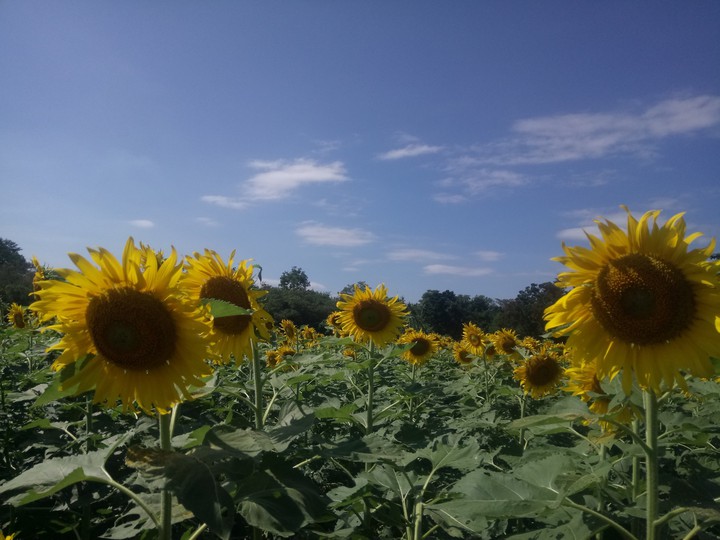 ⛅
