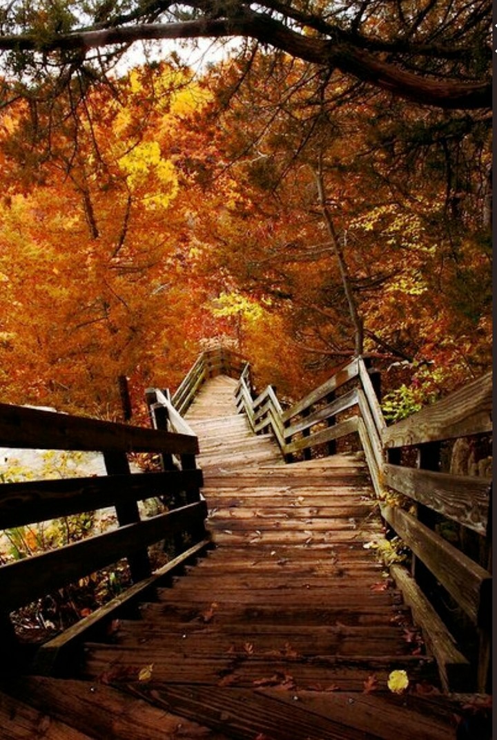 autumn