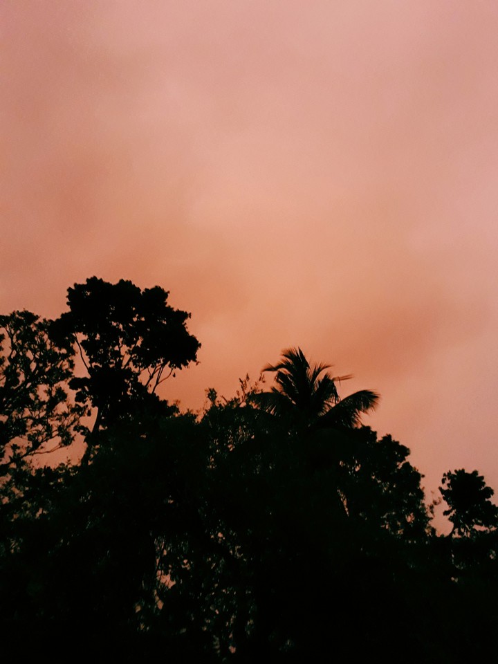 orange day