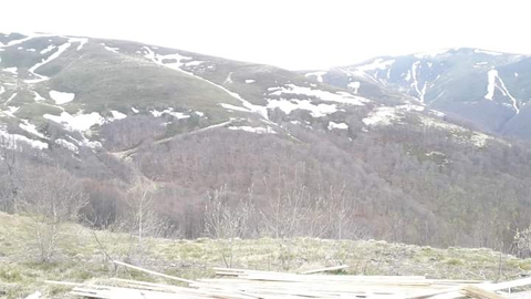 Transcarpathia