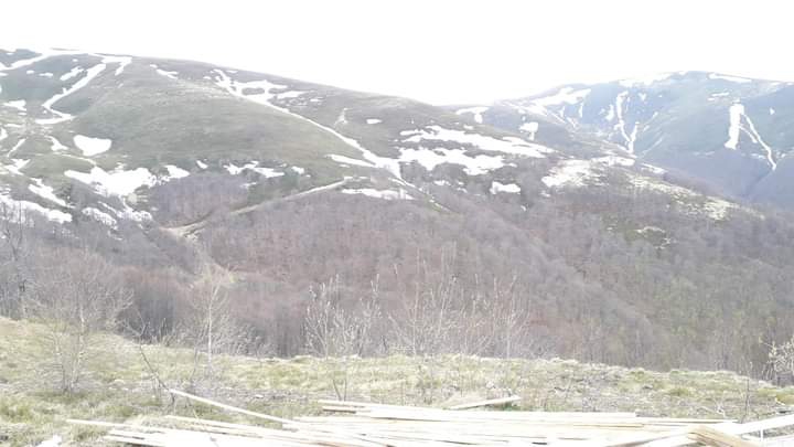 Transcarpathia