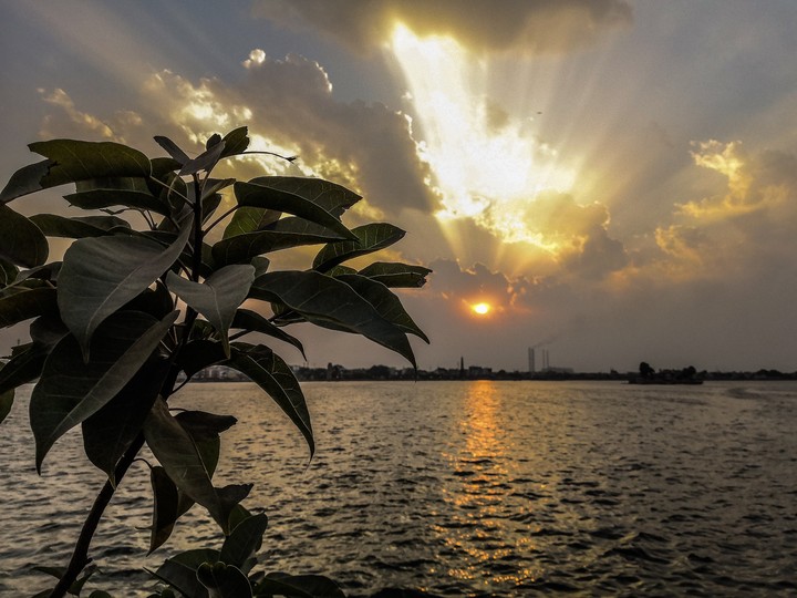 The sunset